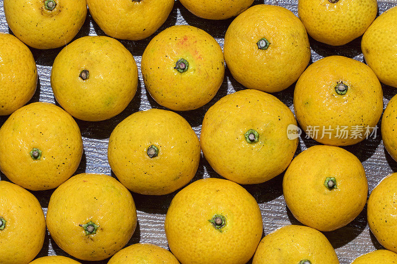 The mandarin orange (Citrus reticulata; Chinese: 橘子 or 桔子; pinyin: júzi), also known as the mandarin or mandarine, is a small citrus tree with fruit resembling other oranges.